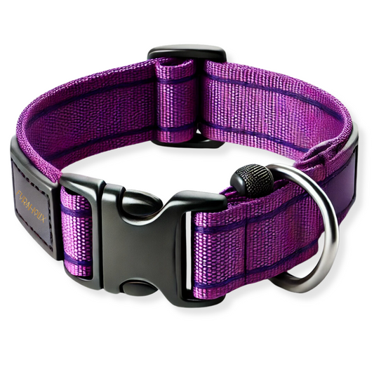 SnuggleFit Collar