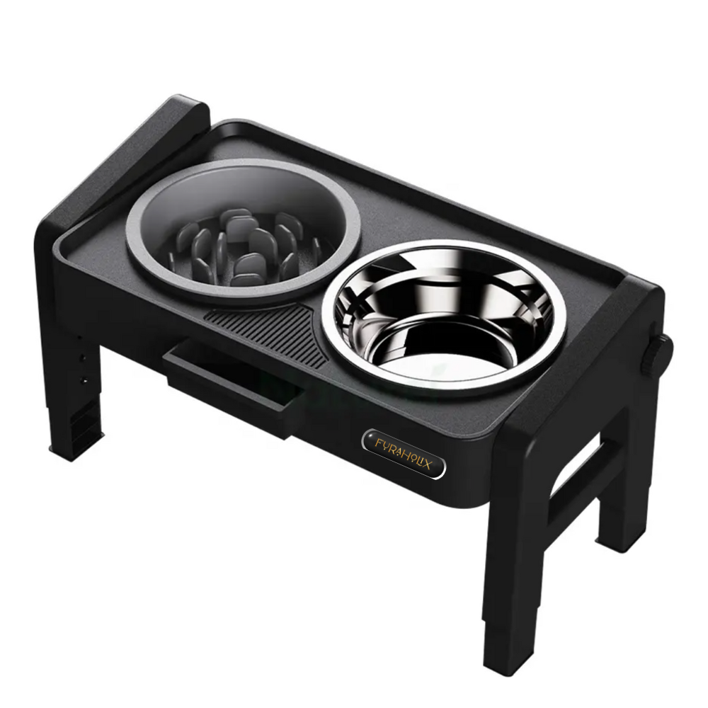 Rise and Dine Dog Bowls with Stand